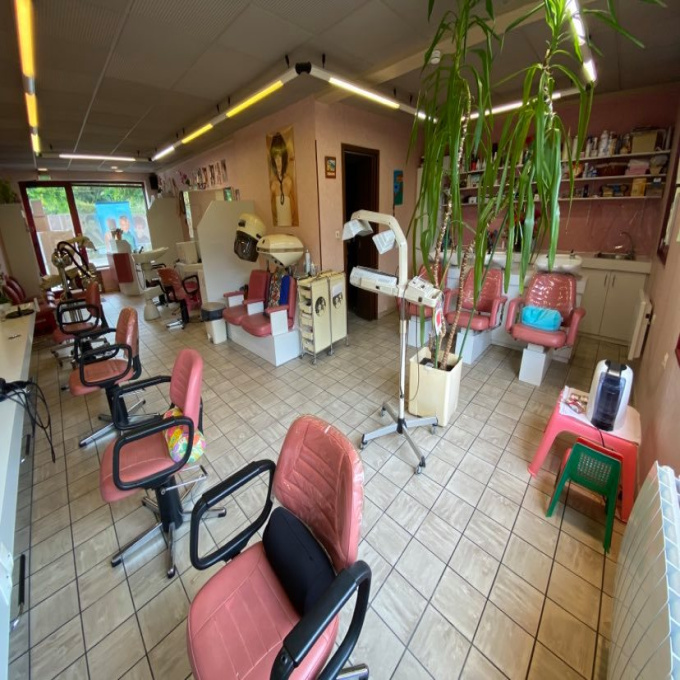 Vente Immobilier Professionnel Fonds de commerce Wolfisheim (67202)