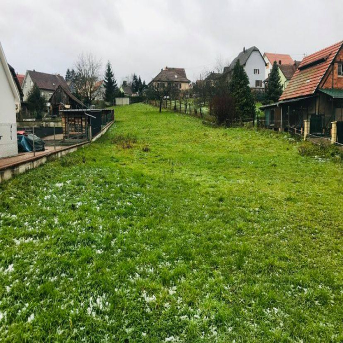 Offres de vente Terrain Zinswiller (67110)