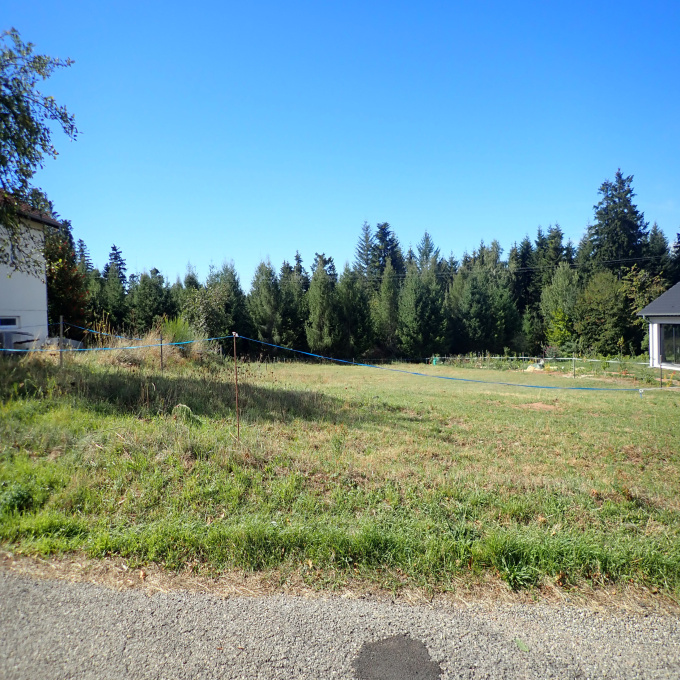 Offres de vente Terrain Abreschviller (57560)